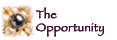 The Opportunity